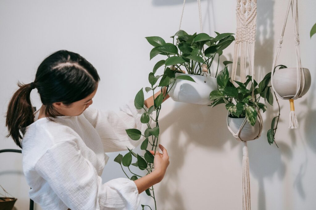 Woman in white blouse tending to hanging potted plants indoors with a focus on green foliage.