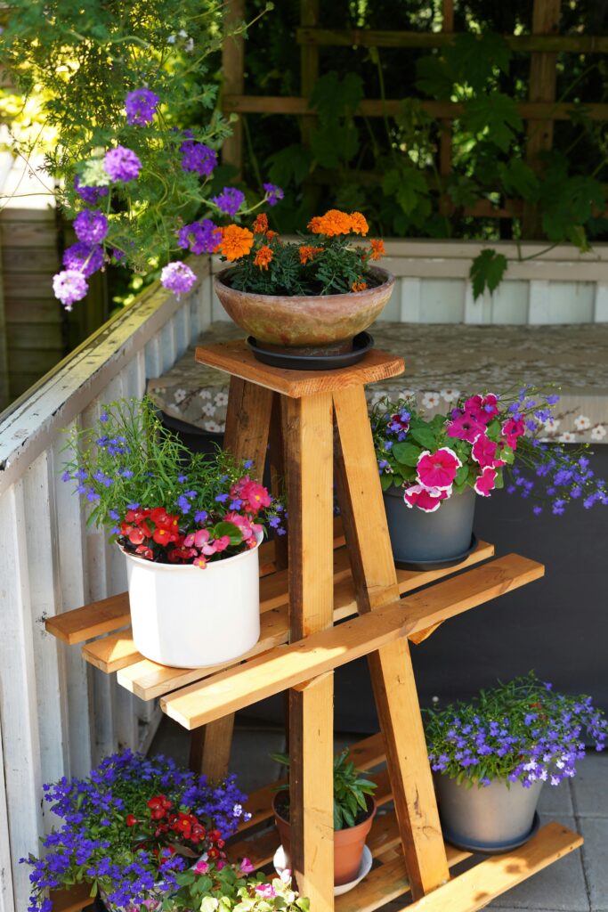 Vibrant potted plants arranged on a wooden stand outdoors in a sunny garden.