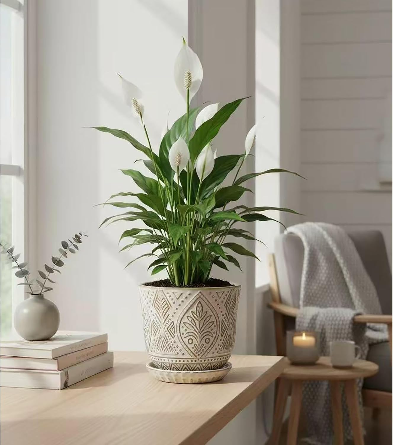 Ceramic Pots
